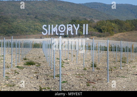 Noworossijsk, Russland - 30. September 2017: Sikory 2 Weinberge in den Hügeln der Sikory Weingut 2. Stockfoto