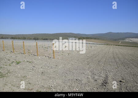 Noworossijsk, Russland - 30. September 2017: Sikory 2 Weinberge in den Hügeln der Sikory Weingut 2. Stockfoto