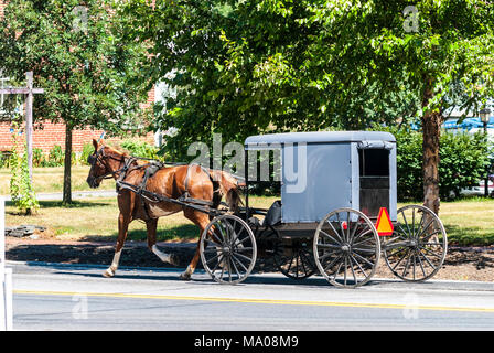 Amish Horse ziehen einen Buggy an einem sonnigen Sommertag auf den Straßen von Lancaster, Pennsylvania Stockfoto