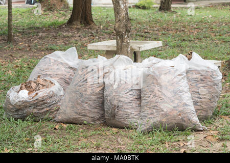 Herbst Reinigung Blätter, Haufen voller weiß Müllsäcke auf dem Rasen im Park, Blätter im Beutel Müll Stockfoto