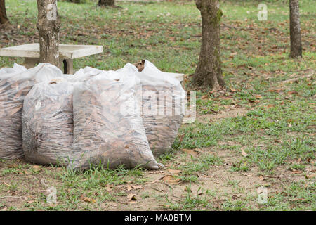 Herbst Reinigung Blätter, Haufen voller weiß Müllsäcke auf dem Rasen im Park, Blätter im Beutel Müll Stockfoto