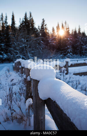 Schnee bedeckt Holzzaun an einem kalten Wintertag mit der Sonne hinter den Wald Stockfoto