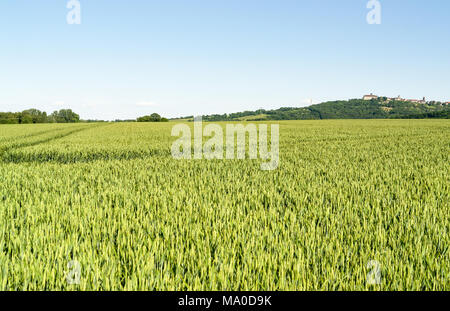 Frühling rund um Waldenburg, eine Stadt im Hohenlohekreis im südlichen Deutschland Stockfoto