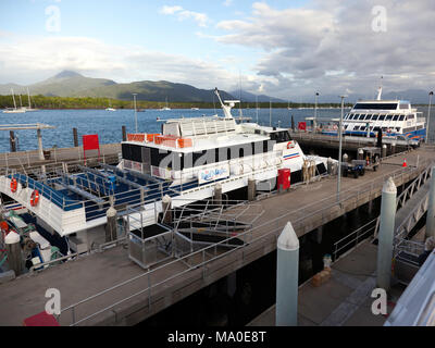 Am frühen Morgen Blick auf Cairns Marlin Marina, Queensland, Australien Stockfoto