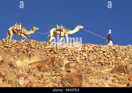 Beduinen und Kamelen auf Trail mit Vorzeichen zum Berg Sinai, Katharinenkloster, Sinai, Wüste, Ägypten. Stockfoto