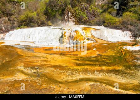 Marmor Terrasse und Strebepfeiler in Waimangu Volcanic Thermal Valley, Rotorua, Neuseeland. Stockfoto