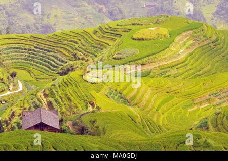 Longji terraces Reisfeldern in der Nähe von Guilin, Guangxi, China. Stockfoto