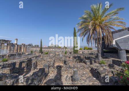 Die Ruinen in der kleinen Stadt Kapernaum an der Küste des Sees von Galiläa. Nach der Bibel ist dies der Ort, wo Jesus lebte, Israel. Stockfoto