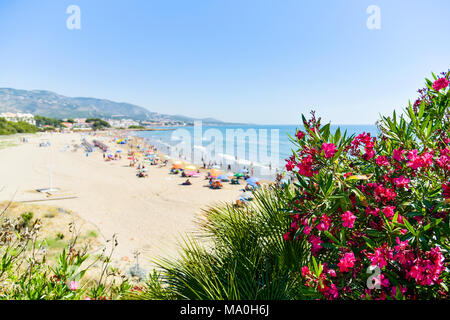 Ein Blick über die Romana Beach in Alcossebre, an der Costa del Azahar, Spanien, mit unkenntlich Leute genießen das warme Wetter Stockfoto