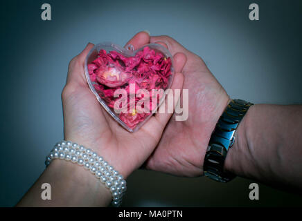 Rotes Herz in Frauen und Männern die Hände auf blauem Hintergrund Stockfoto