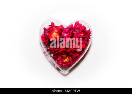 Glas roten Herzen auf einen hellen Hintergrund Stockfoto