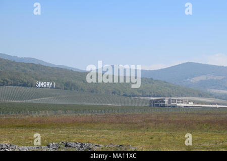 Noworossijsk, Russland - 30. September 2017: Sikory 2 Weinberge in den Hügeln der Sikory Weingut 2. Stockfoto