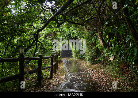 Olle trail Kurs Nr. 5 in Namwon - eup, Seogwipo-Si, Jeju Island, Korea. Der Weg führt von Namwon port Soesokkak. Stockfoto