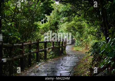 Olle trail Kurs Nr. 5 in Namwon - eup, Seogwipo-Si, Jeju Island, Korea. Der Weg führt von Namwon port Soesokkak. Stockfoto