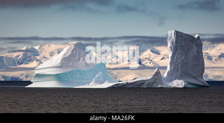 Eisberge vor Brabant Insel, Antarktis Stockfoto