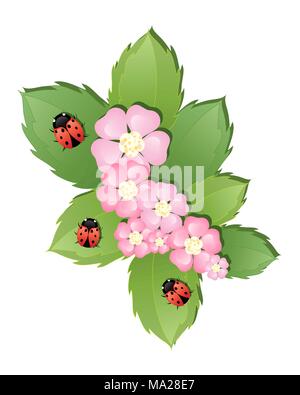 zur Veranschaulichung der bunte Marienkäfer auf grünen Blättern und ein Blumenstrauß von abstrakten rosa Blumen auf weißem Hintergrund Stock Vektor