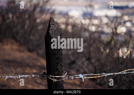 Gorse Hang fire Sachschäden Stockfoto