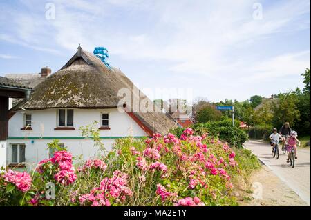 Ein reetdachhaus und Radfahrer auf der Straße zum Strand in der Nähe von Ahrenshoop an der Ostsee Stockfoto