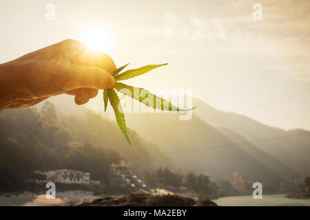 Blatt von Cannabis in der Hand in die untergehende Sonne auf unscharfen Hintergrund schöne Berglandschaft. Konzept die Zucht von Marihuana, Cannabis, legalizat Stockfoto