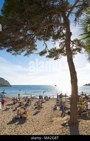 Platja de Sant Elm Strand an der Südwestküste von Mallorca. Stockfoto