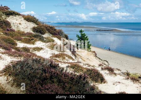 Braderuper Heide Naturschutzgebiet Wattenmeer, Sylt Stockfoto