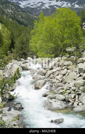 Mountain Stream in den Nationalpark Aigüestortes in den Pyrenäen, Katalonien, Spanien Stockfoto