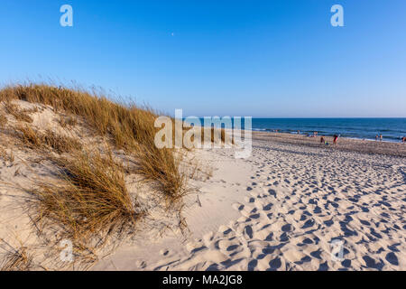 Touristen im Nationalpark Doñana Dune Beach, Matalascañas, Almonte, Provinz Huelva, Andalusien, Spanien. Stockfoto
