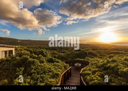 Blick auf die Landschaft bei Sonnenuntergang (Grootbos-Lodge, Grootbos Nature Reserve, Südafrika) Stockfoto