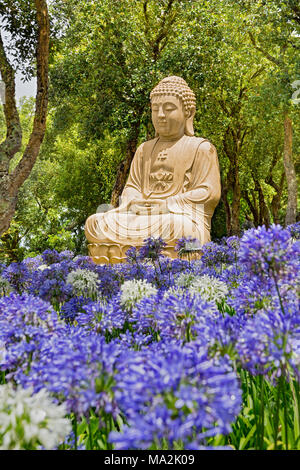 Einer der vielen Statuen von Buddha in den Buddha Eden Garten, bestehend aus 35 Hektar (86 Morgen) der natürlichen Felder, Seen, gepflegten Gärten eine Stunde Stockfoto