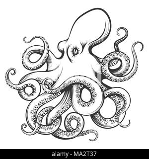 Octopus in Gravur Stil gezeichnet. Auf weissem Hintergrund. Vector Illustration. Stock Vektor