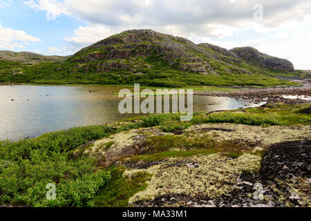 Küste der Barentssee im Norden polar Sommer. Arktischen Ozean, Halbinsel Kola, Russland Stockfoto