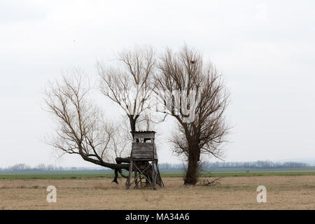 Jagd-stand Stockfoto