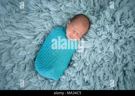 Schlafen, zwei Wochen alte Neugeborene baby boy Gepuckte in einem blauen wickeln. Im Studio Schuß auf ein Flokati Teppich. Stockfoto