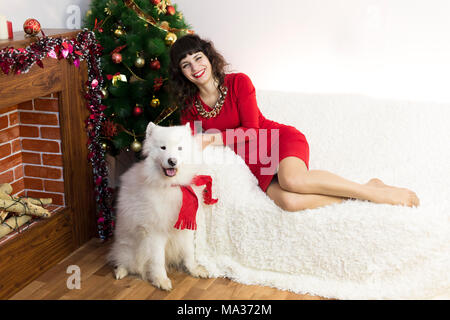 Mädchen in Rot brünett Kleid und weißen Hund Weihnachten am Weihnachtsbaum erfüllen Stockfoto