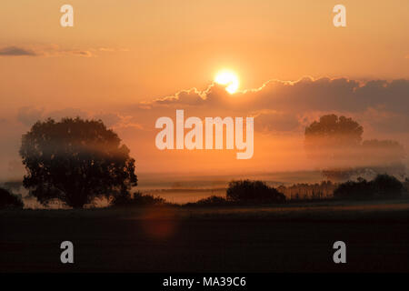 Sonnenaufgang über nasse Wiesen und Linien von Bäumen und Büschen, ländliche Landschaft, Sonnenschein am Morgen Nebel, morgen stimmung voller Atmosphäre. Stockfoto