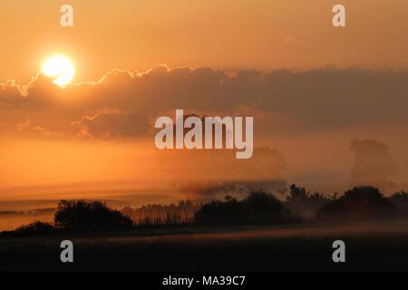 Sonnenaufgang über feuchte Wiesen und Bäume und Büsche, wenig Nebel unter einem orangefarbenen Himmel, voller Atmosphäre. Stockfoto