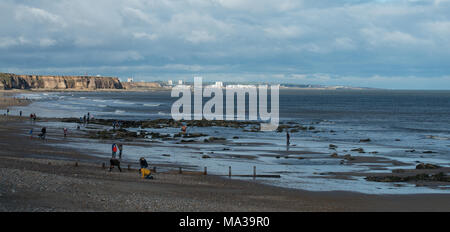 Blick auf den Strand von Seaham mit Sunderland im Hintergrund und eine Reihe von Leuten, die Meeresglas sammeln Stockfoto