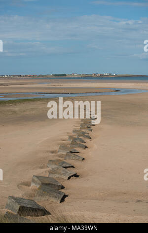 Eine Strandszene mit Beadnel, Northumberland im Hintergrund und eine Schnur aus dem zweiten Weltkrieg zwei Betontankfallen, die in den Sand eingebettet sind Stockfoto