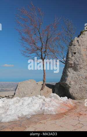 Baum ohne Laub auf felsigen brechen. San Marino Stockfoto