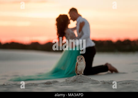 Braut und Bräutigam knien und schauen sich an neben Eule in der Wüste auf dem Hintergrund der weißen Sand und den Sonnenuntergang. Stockfoto