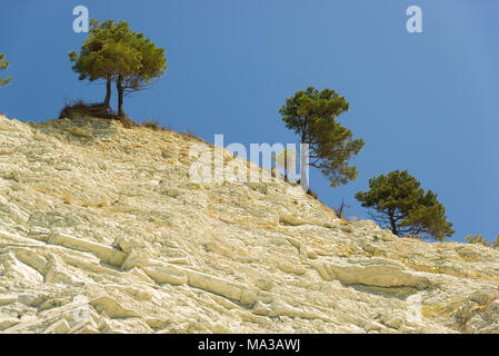 Bäume wachsen auf den Rand des Lichts Felsen gegen den Himmel Stockfoto