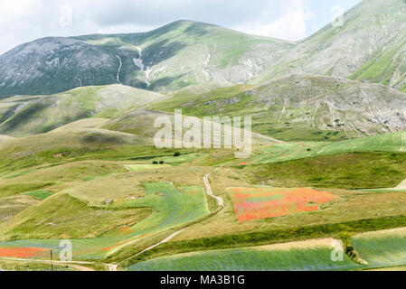 Blick auf Monte Sibillini, Castelluccio Di Norcia, Umbrien, Italien. Stockfoto