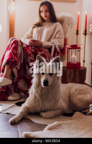 Junge Frau sitzend mit Teetasse in einem Schaukelstuhl, Schäferhund liegt neben Ihr Stockfoto