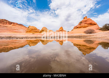 Reflexionen an der Wave, Coyote Buttes North, Colorado Plateau, Arizona, USA Stockfoto