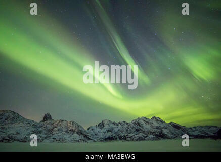 Eidsfjord und Reka Gebirge in der Nacht unter einem starken Northern lights Holmstad, Sortland, Lofoten, Norwegen, Europa Stockfoto