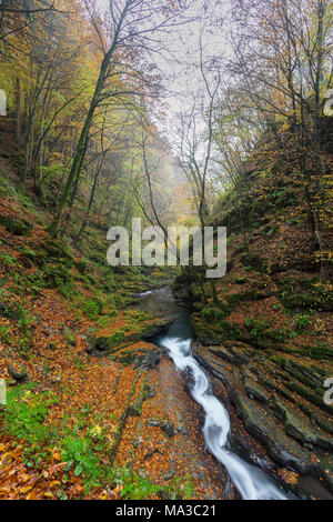 Herbst an einem Wasserfall des Flusses Breggia, in der Nähe der Mühle, Bruzella Muggiotal, Mendrisio Bezirk, Kanton Tessin, Schweiz. Stockfoto