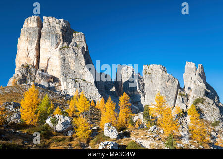 Herbst in 5 Torri. Cortina d'Ampezzo, Venetien, Italien. Stockfoto