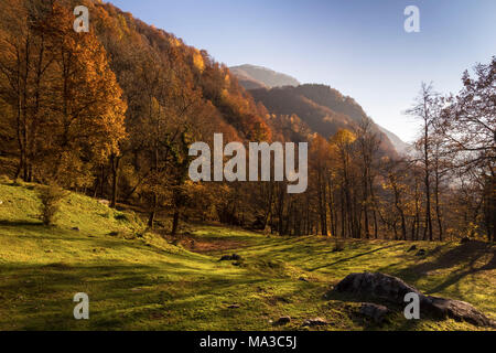 Herbst im Mulini di Piero, Curiglia con Monteviasco, veddasca Tal, Varese, Lombardei, Italien. Stockfoto