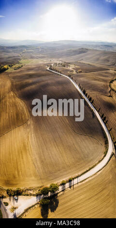 Montichiello, Val d'Orcia in der Provinz Siena, Toskana, Italien, Europa. Luftaufnahme der ikonischen Zypressen mit Straße von oben Stockfoto