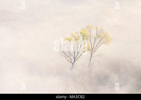 Nebel über den Fluss Adda von Airuno am Santuario Madonna della Rocchetta, Airuno, Parco dell'Adda Nord, Lecco Provinz Brianza, Lombardei, Italien gesehen. Stockfoto